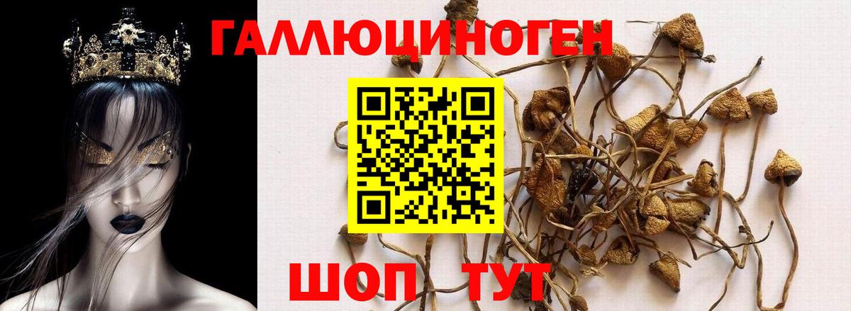 Семёнов  Галлюциногенные грибы мицелий  Вход с VPN  Псилоцибиновые грибы Magic Shrooms 